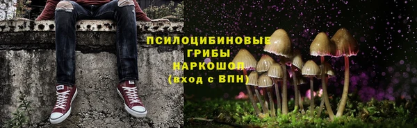Альфа ПВП Дмитров