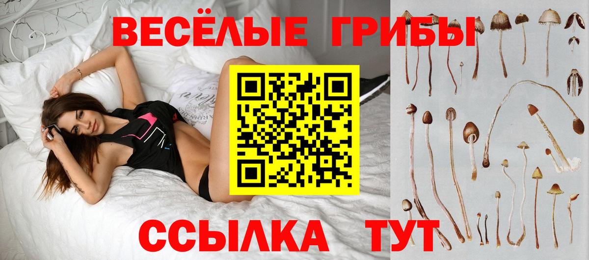 Галлюциногенные грибы GOLDEN TEACHER  Псилоцибиновые грибы Magic Shrooms  Рузаевка  Вход с VPN 