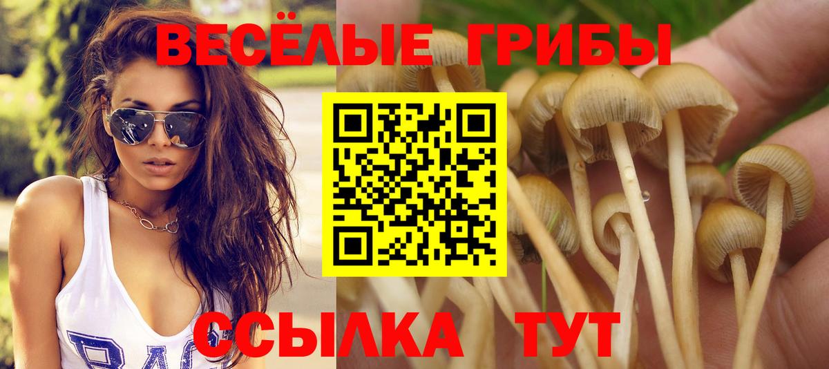 КОКАИН  ГАШИШ  Рузаевка  Мефедрон кристаллы  Каннабис  Меф МЯУ МЯУ кристаллы  APVP СК   Героин 